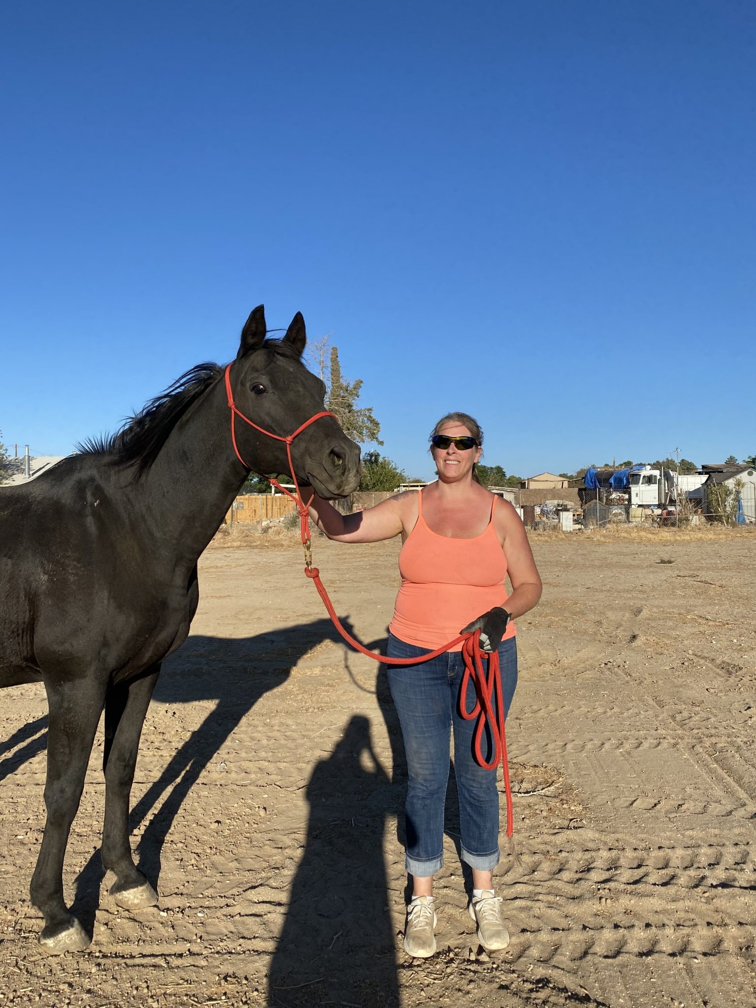 LaDook - Wild At Heart Horse Rescue